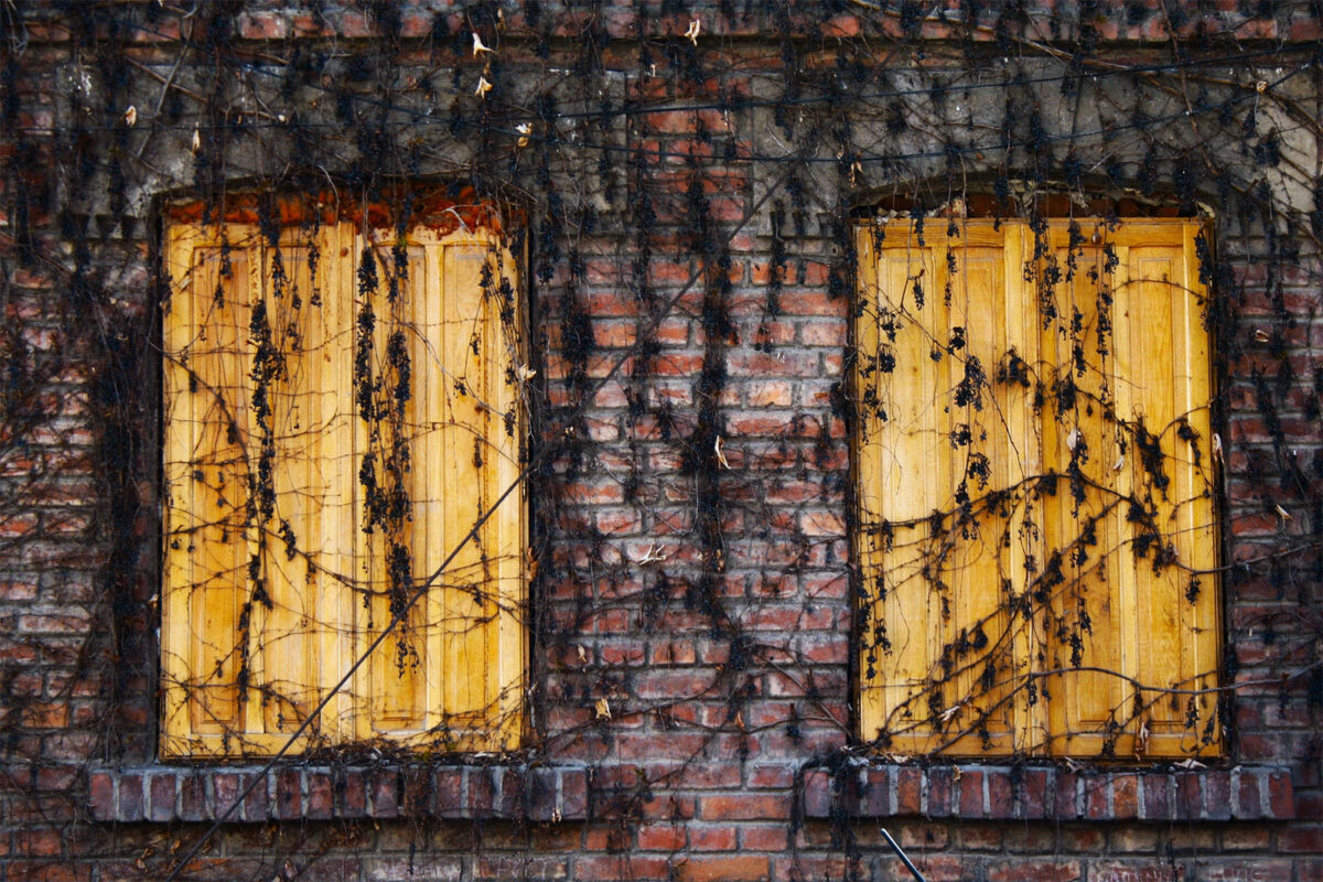 webdevelopment windows