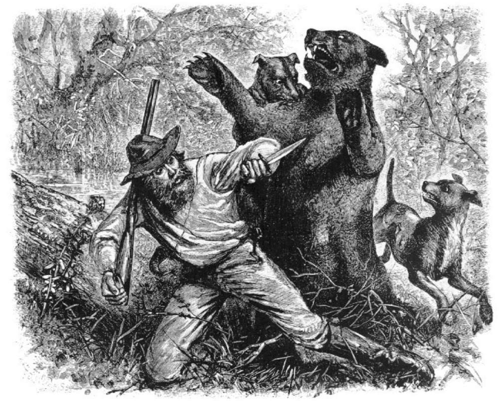 Zeitungsillustration des Bärenangriffs auf Hugh Glass 1823.