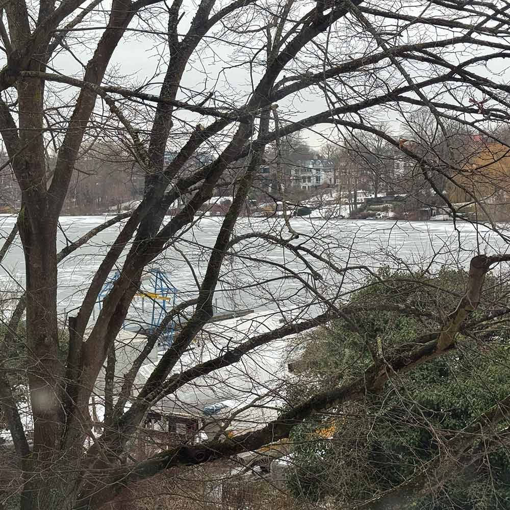 Blick aus dem Fenster auf die Wakenitz. Im Vordergrund ein winterlich kahler Baum, dahinter das Gelände des Segelclubs mit Steg, dahinter die zugefrorene und schneebedeckte Wakenitz. Auf der anderen Flusseite stehen ein paar Villen.